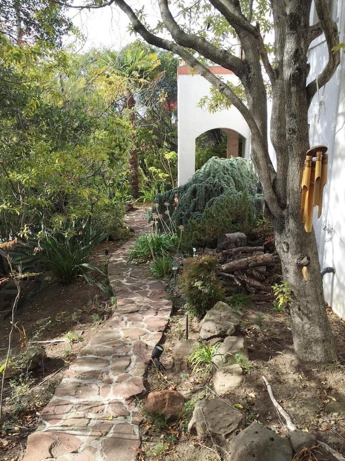 Serene Charming Private Suite Patio, Upscale Berkeley Eksteriør billede