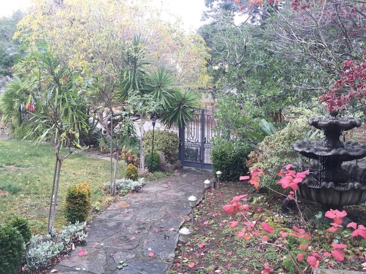 Serene Charming Private Suite Patio, Upscale Berkeley Eksteriør billede